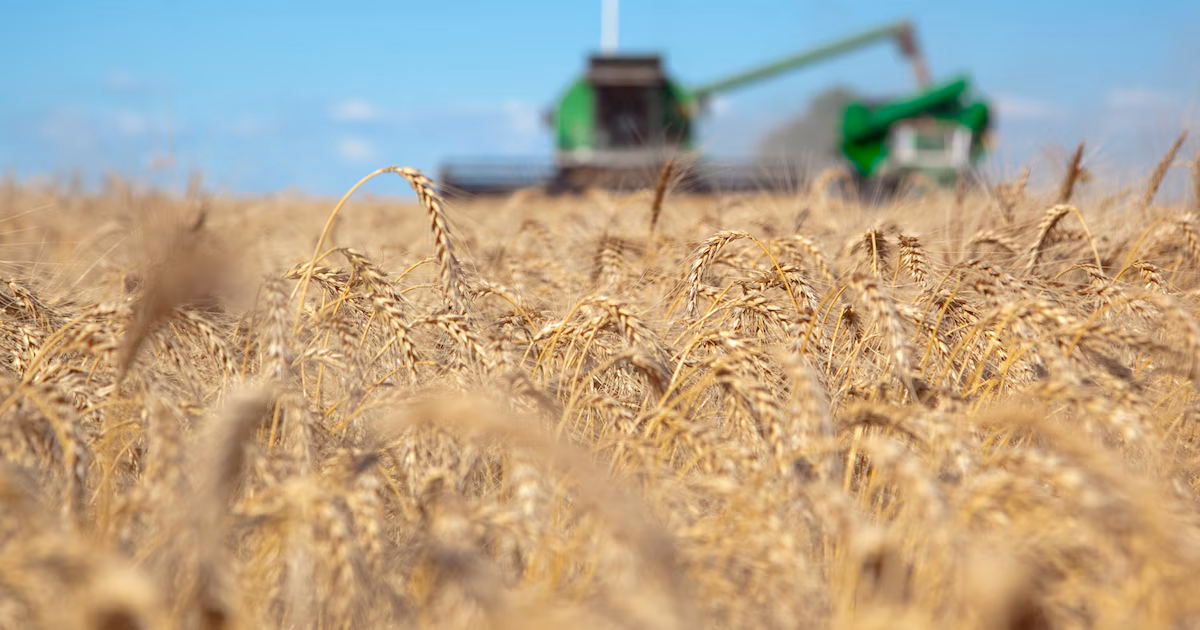 Las cadenas agroindustriales aportaron casi USD 32.000 millones en lo que va de 2026