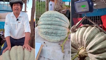El insólito récord de un productor entrerriano: cosechó un zapallo de más de 135 kilos