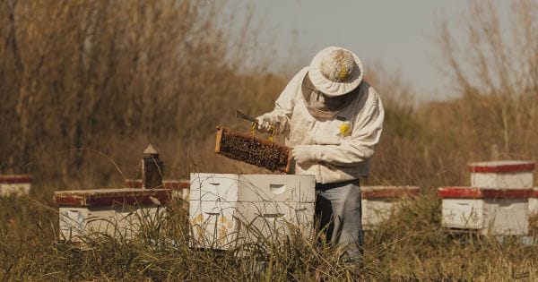 Para Misiones y Entre Ríos Aprueban préstamos de organismos internacionales por USD 90 millones