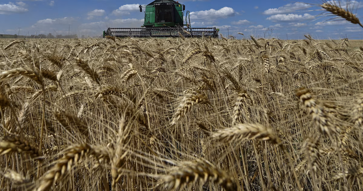 Guerra en Medio Oriente dispara precio de fertilizantes y amenaza campaña 2026/2027; importaciones 2025: USD 2.000 M