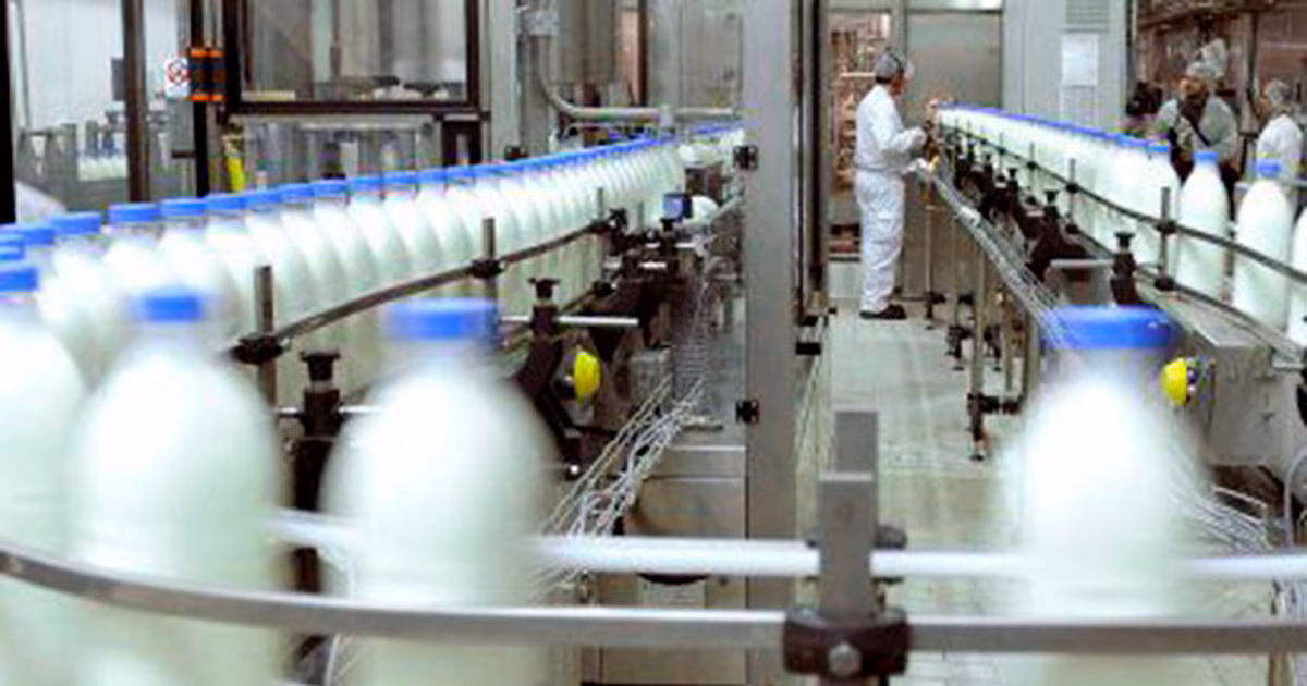 Se agrava la crisis láctea: Sudamericana de Lácteos dejó de pagar sueldos y preocupa el futuro de sus 80 trabajadores