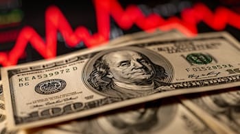 Detrás del dólar estable: el flujo de USD 11.000 millones que apuntaló la calma cambiaria y la compra de divisas del BCRA