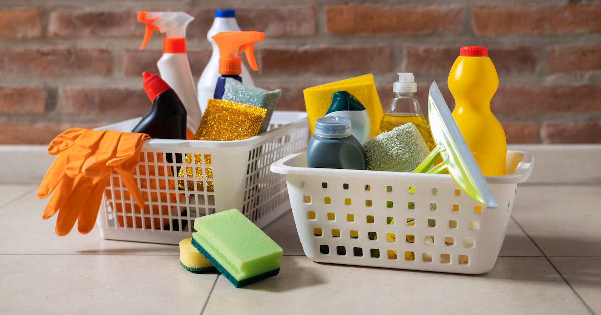 El gobierno oficializó un aumento 1,5% y bono retroactivo para empleadas domésticas; habrá otra suba sobre febrero