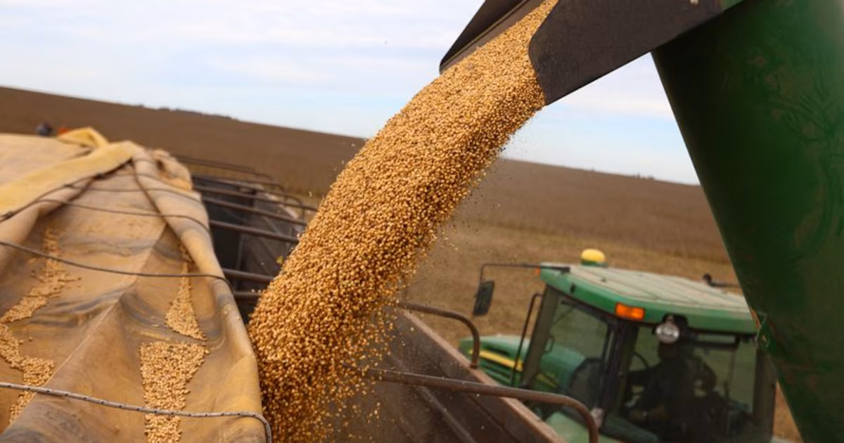 Por el conflicto en medio oriente, la soja superó los USD 440 y llegó a su nivel más alto en casi dos años