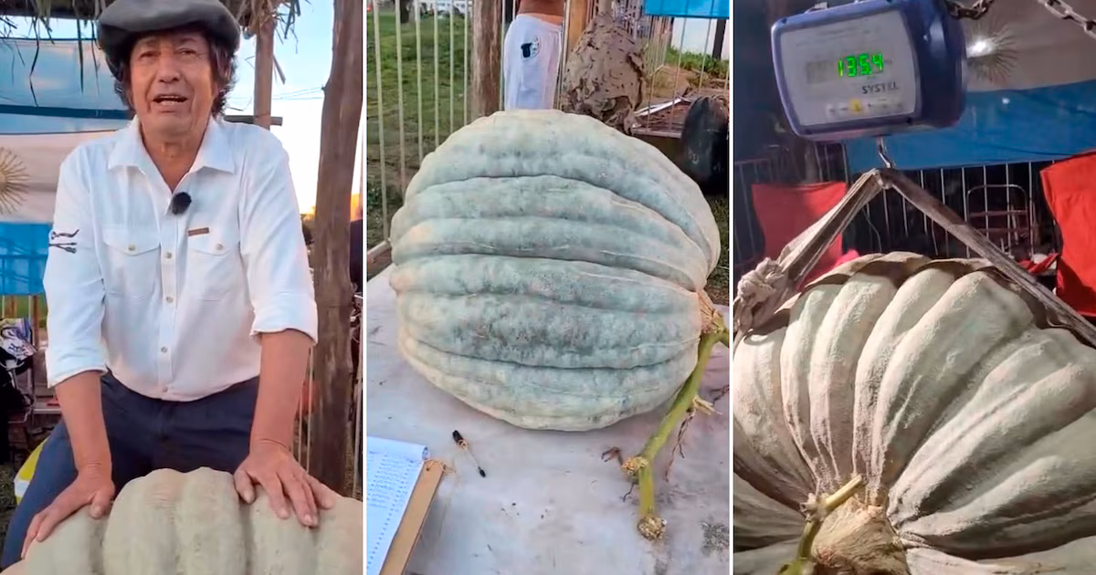 Productor entrerriano bate récord con un zapallo de más de 135 kilos en exposición de Córdoba