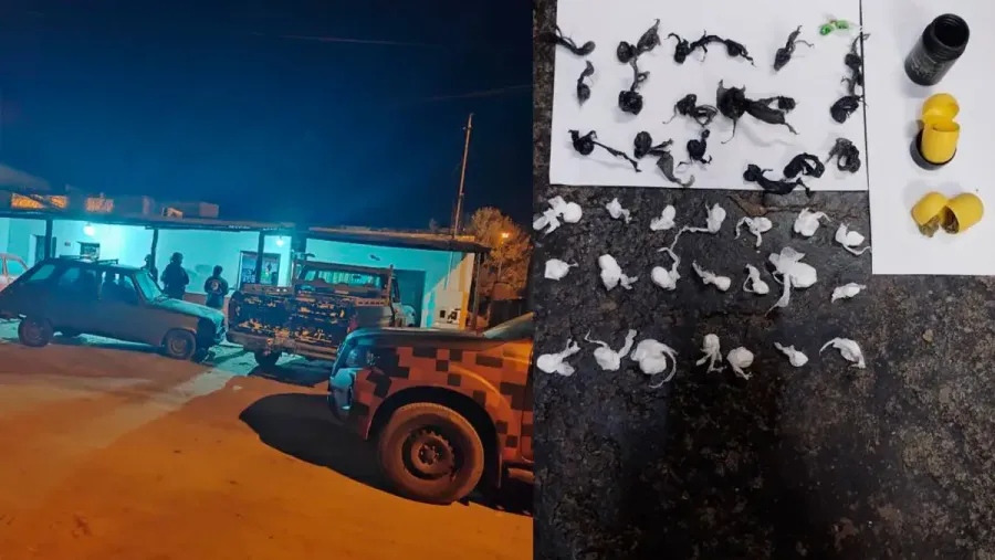 Allanamientos en Villaguay: incautaron cocaína, marihuana, efectivo y detuvieron a un sospechoso