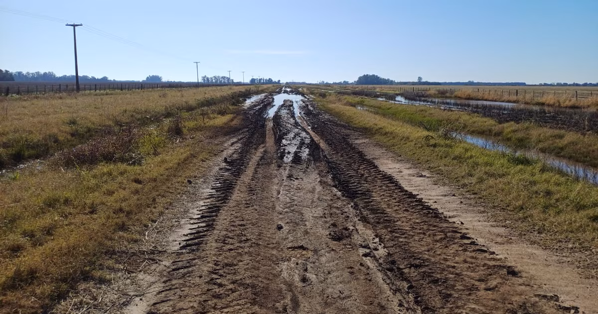 La Justicia obligó al municipio de Baradero a informar qué hizo con los $1.000 millones recaudados por la tasa vial