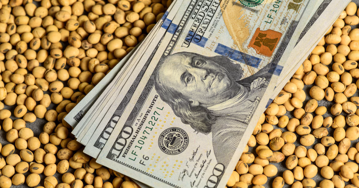 Dólar quieto, inflación en alza: los dólares del campo acentúan el freno sobre el tipo de cambio