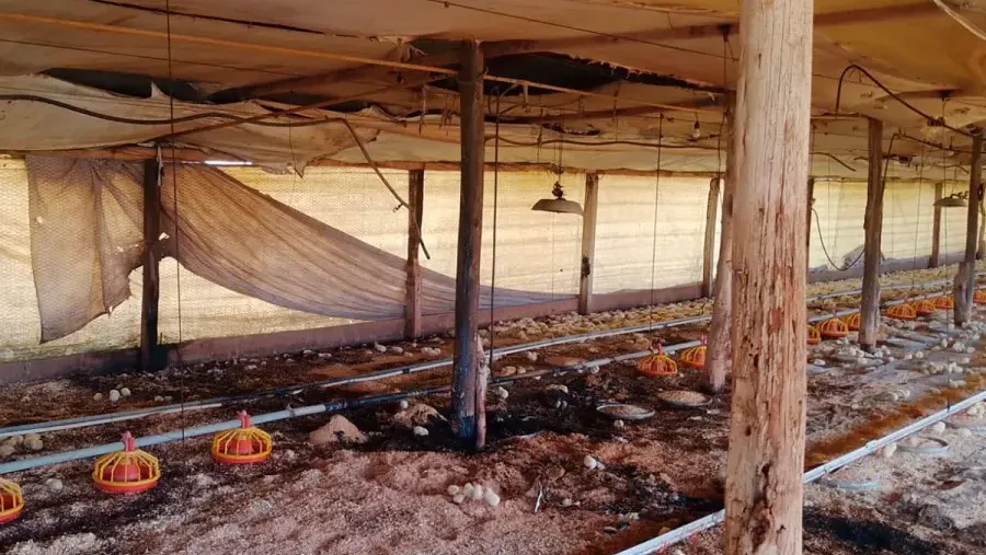 Un principio de incendio afectó un galpón de pollos en Colonia Santa María