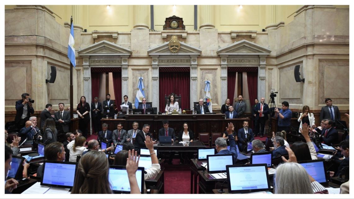 Gobierno envió al Senado proyecto que reforma las leyes de Discapacidad y Salud Mental