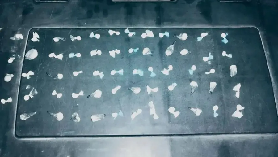 Detuvieron a una mujer con cocaína escondida en un pañal en la terminal de Islas del Ibicuy