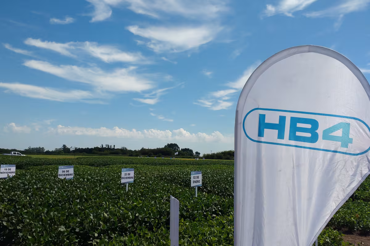 Brasil cuestionó el proceso de detección en Europa de una soja argentina no aprobada en ese mercado