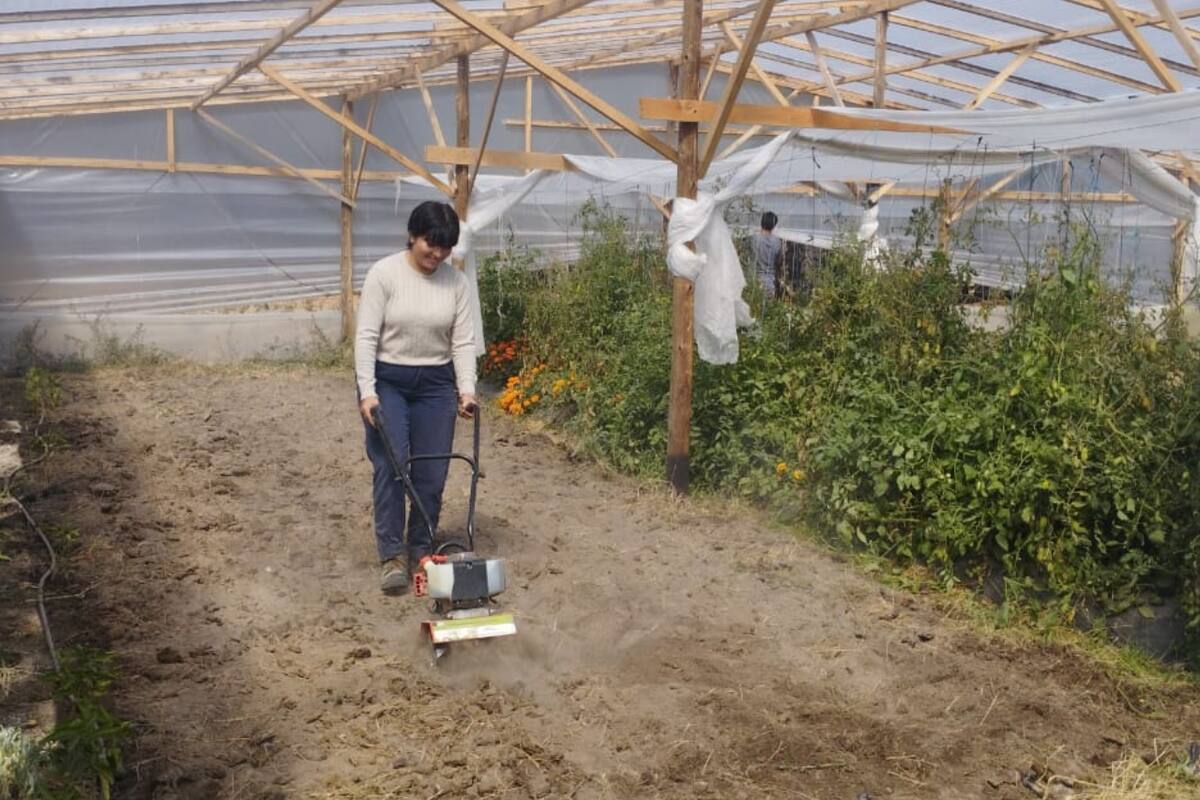 Estudian a más de 180 kilómetros de sus casas y producen lo que comen todos los días