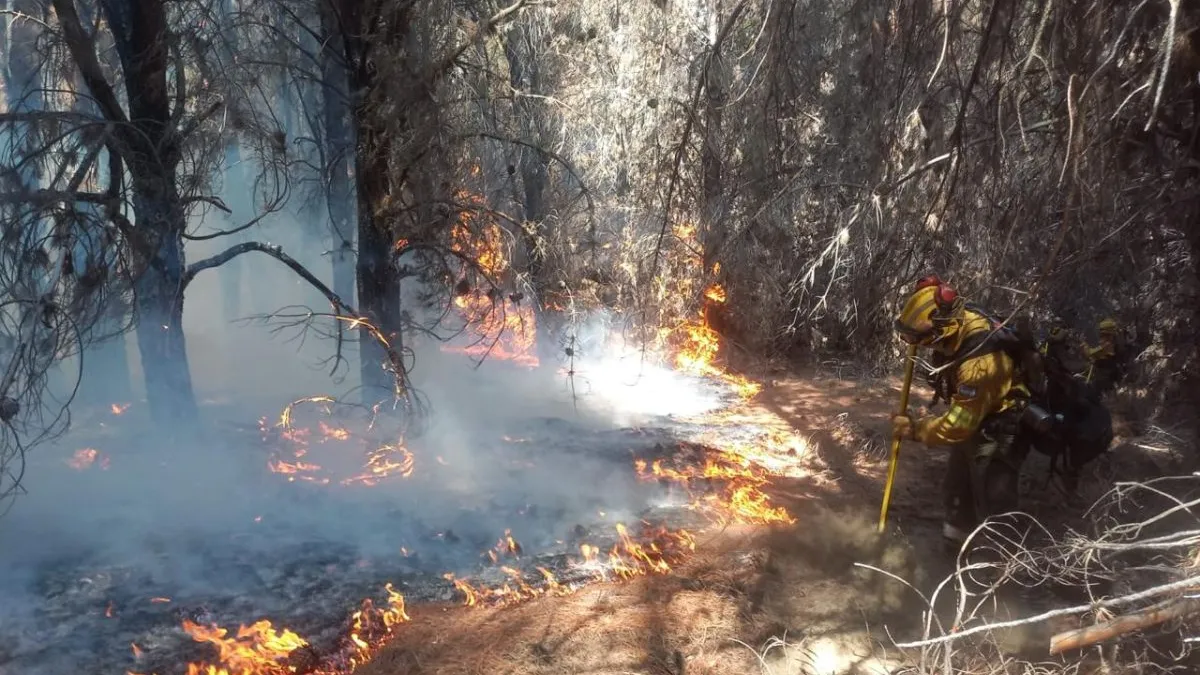 Para darle un guiño al agro, el Gobierno apura la reforma de la ley de Manejo del Fuego