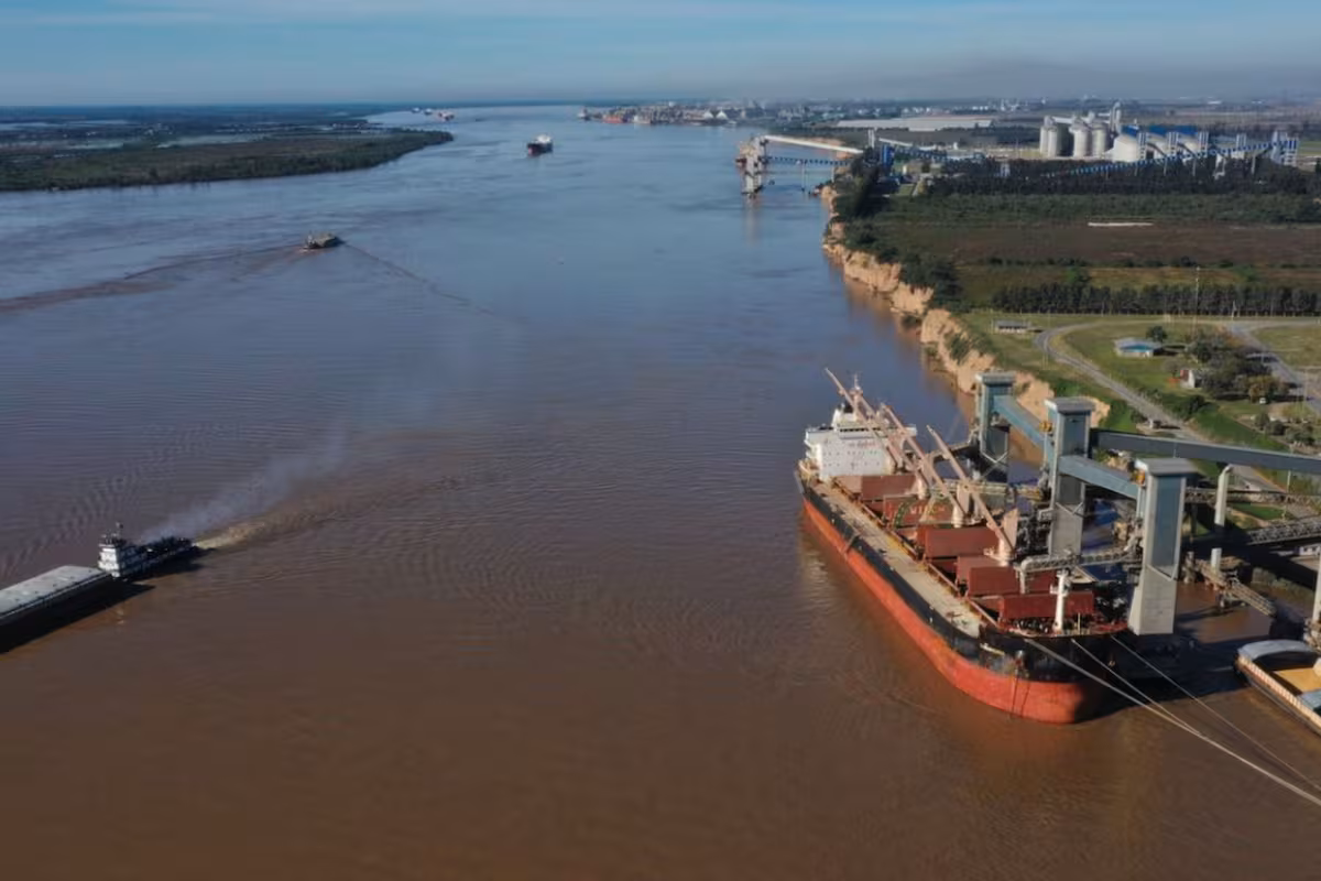 El negocio de más dólares: preocupación por alertas de la Unión Europea por la detección de una soja argentina no aprobada en ese mercado