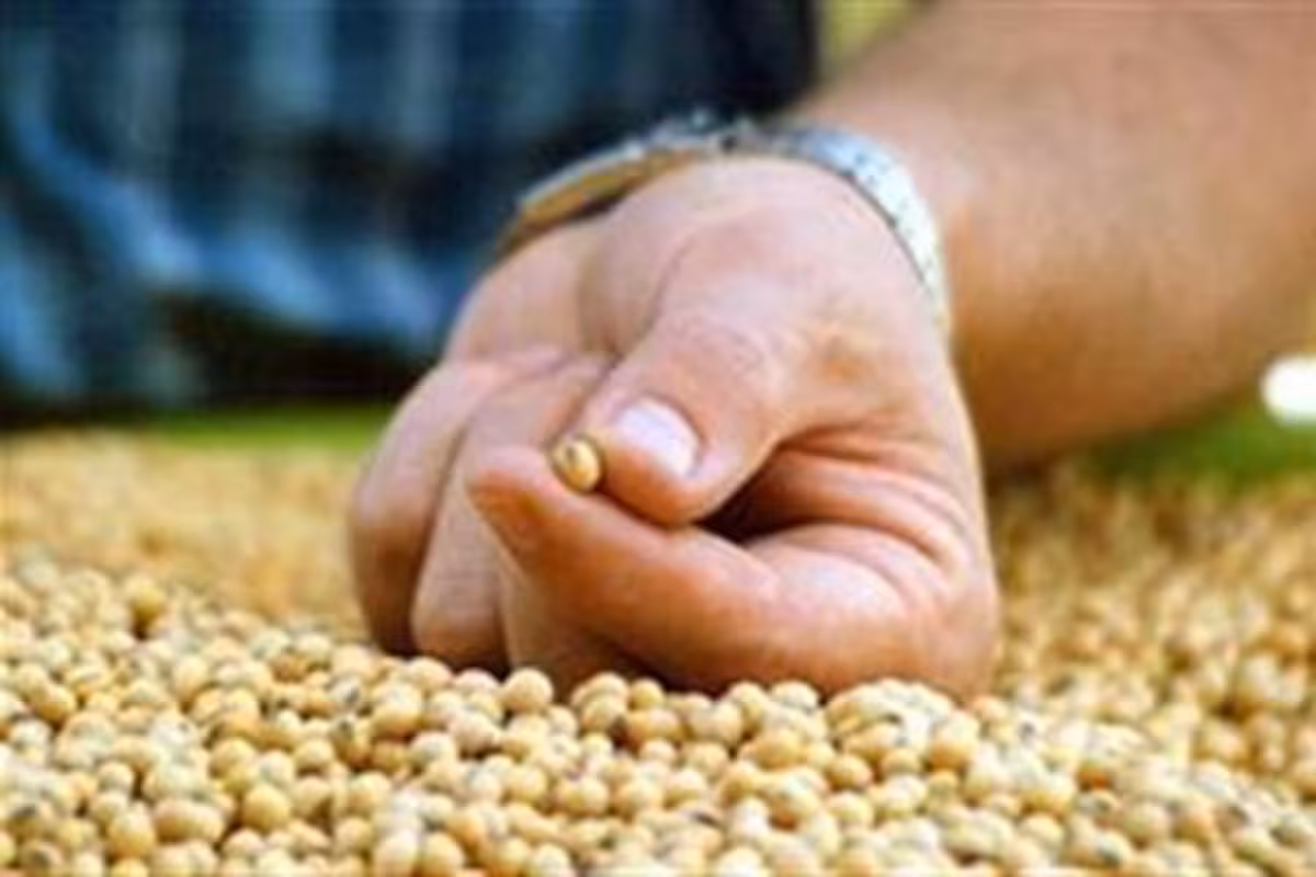 El Gobierno le presentó al campo un  nuevo esquema para la fiscalización en semillas