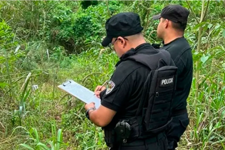 Hallazgo en Misiones: encontraron restos humanos en una zona rural cercana a la ruta 12