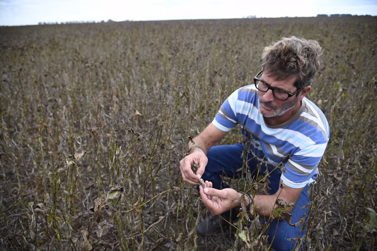 “Los días no acompañan”: las lluvias no dan tregua y los productores no pueden acelerar la cosecha de soja