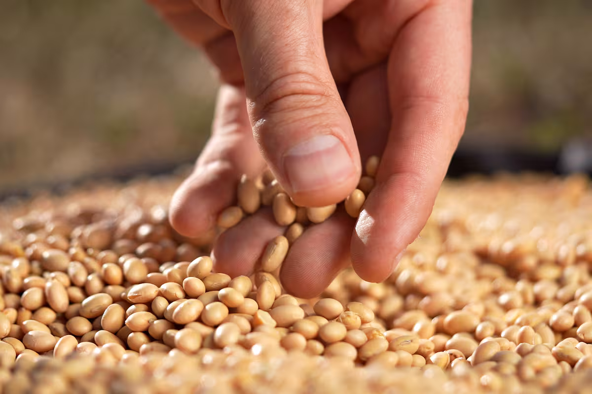 Opinión: sin propiedad intelectual no hay innovación y sin innovación no hay desarrollo