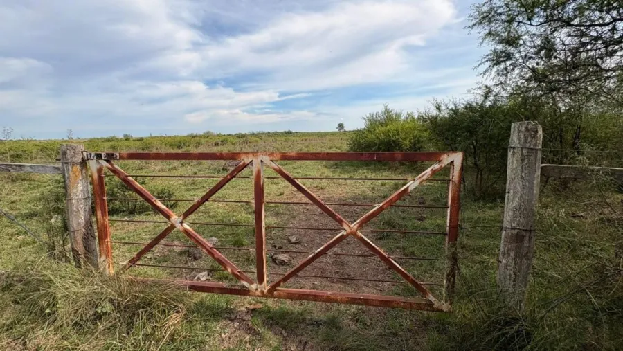 Un campo usurpado: la odisea de sus dueños en una causa con tres acusados y definiciones que se dilatan
