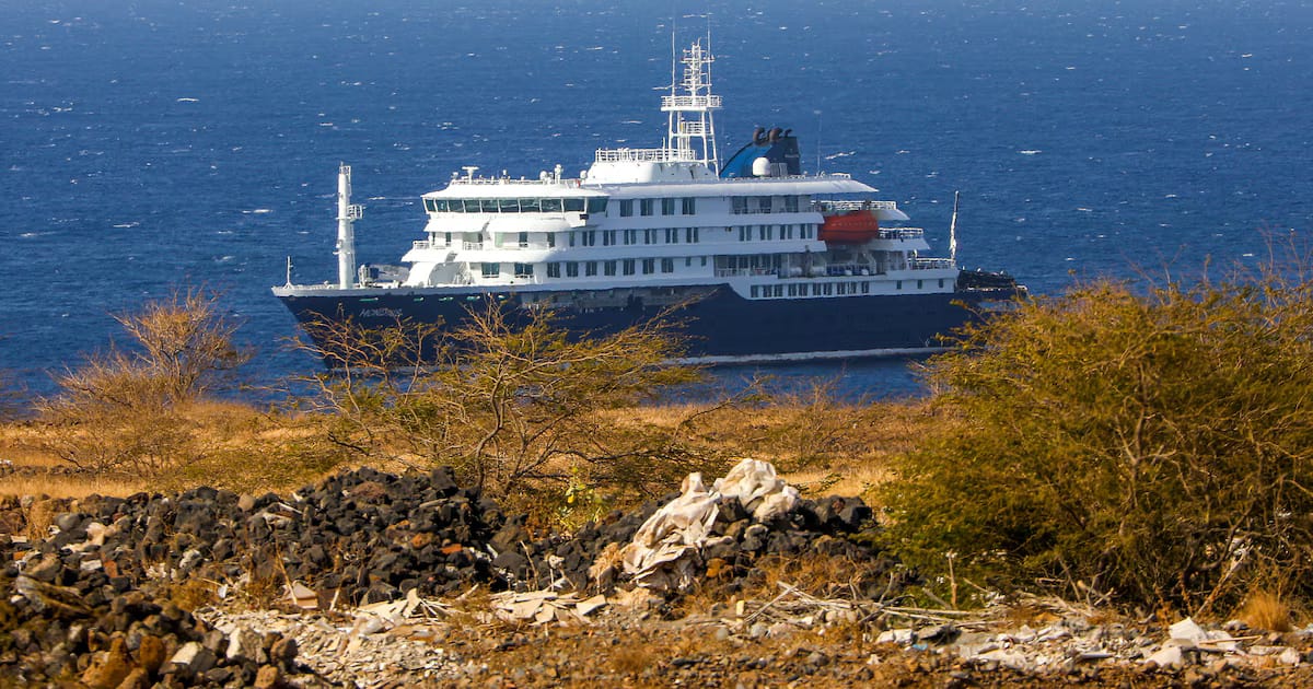 Hantavirus en un crucero: dos nuevos casos, cinco bajo sospecha y la búsqueda contrarreloj de los pasajeros de un vuelo