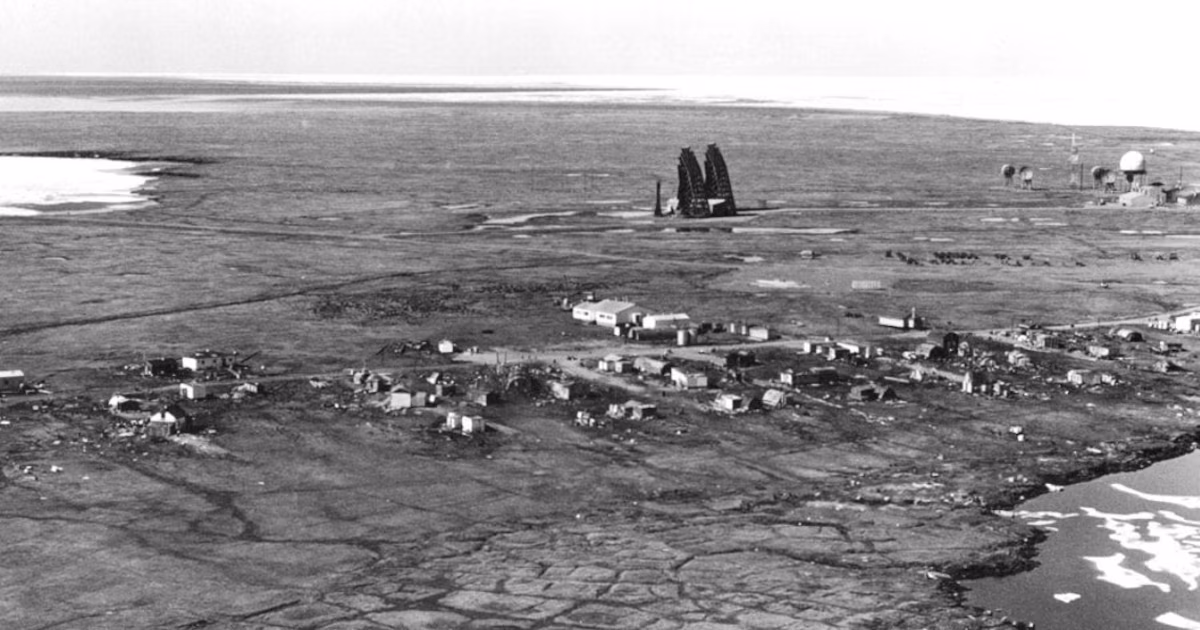 Ballenas, osos en extinción y paseos prohibidos: así Kaktovik busca recuperar el control del turismo polar en Alaska