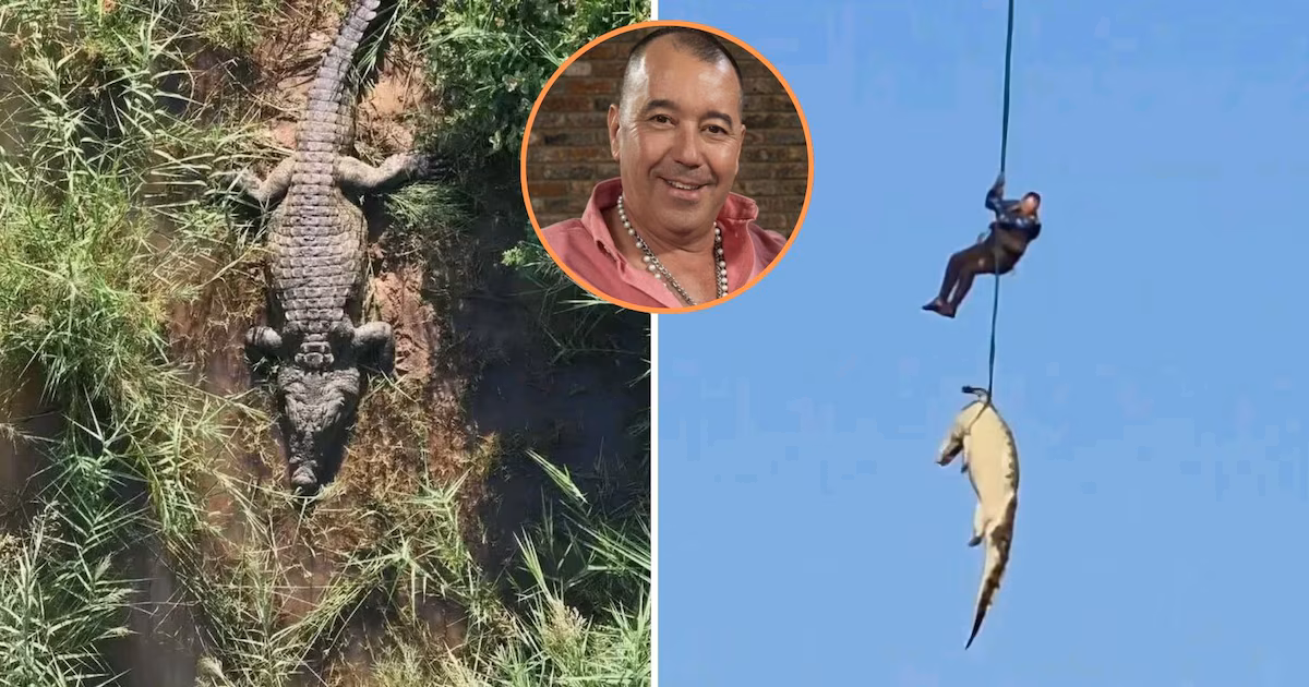 Un equipo halló restos humanos en el estómago de un cocodrilo tras el rastro de un desaparecido en Sudáfrica