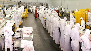 Crisis en la mayor avícola del país: Granja Tres Arroyos cerró su planta de Entre Ríos y peligran 950 empleos