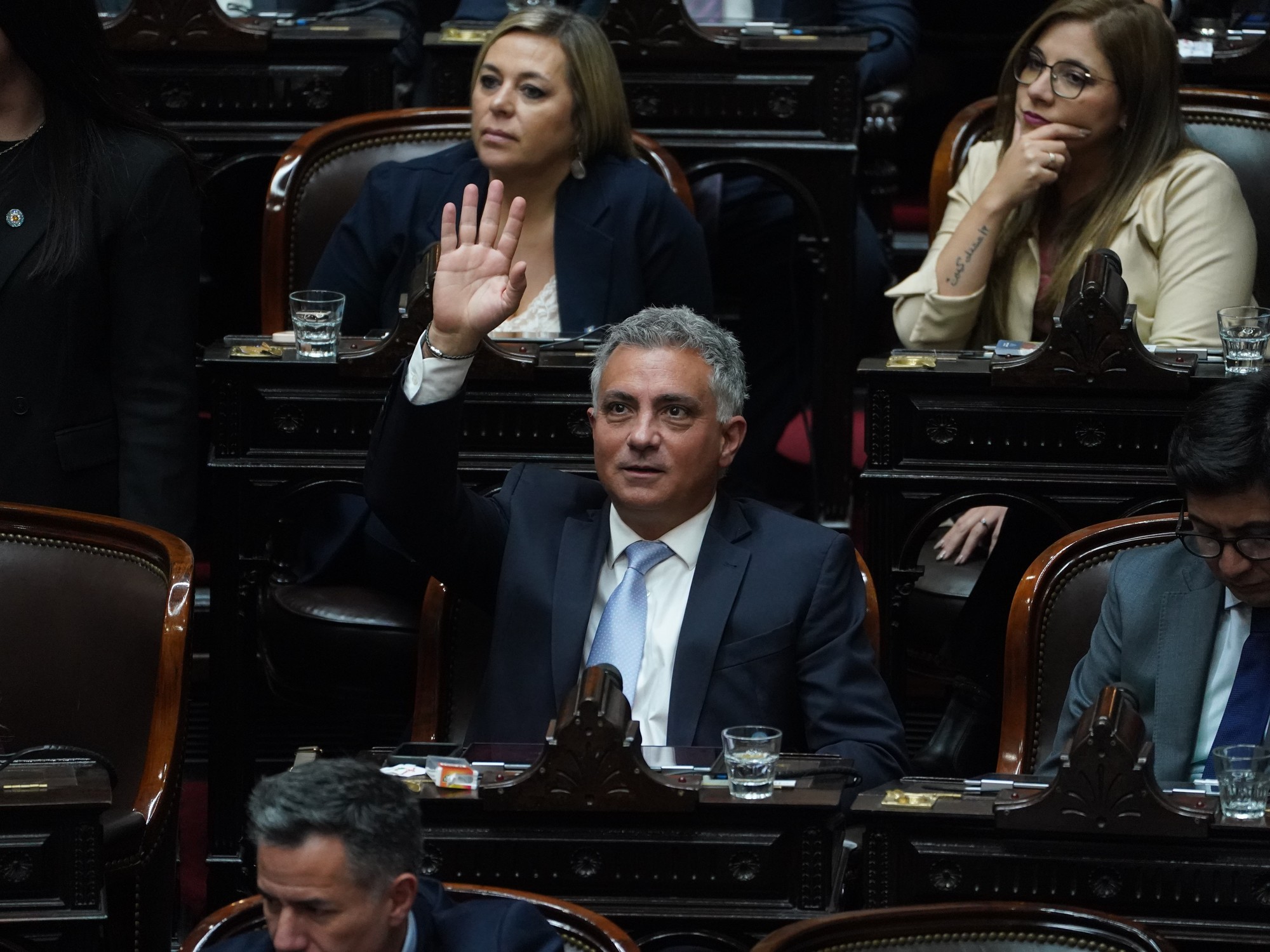En tensión con los aliados, se conforman bicamerales clave y Karina Milei busca imponer a Sebastián Pareja en Inteligencia