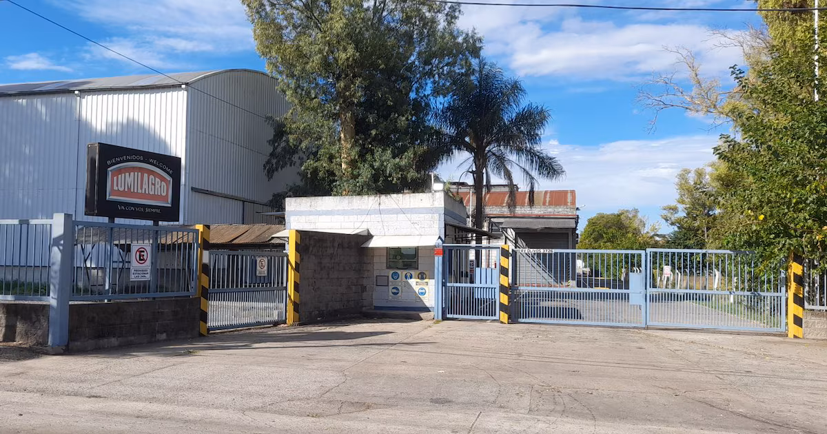 Después de la polémica y los despidos, la empresa favorita de Milei y Caputo contratará nuevos empleados y abrirá 15 locales