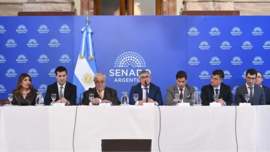 El Senado le dio cinco años más a Mahiques y el hijo de Rosatti quedó a un paso de ser juez