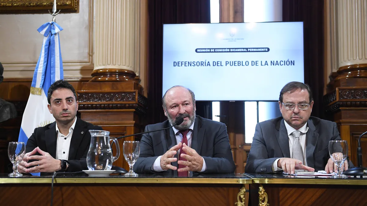 El Congreso conformó tres bicamerales: libertarios presidirán comisiones que controlan las auditorías y fondos de la ANSES