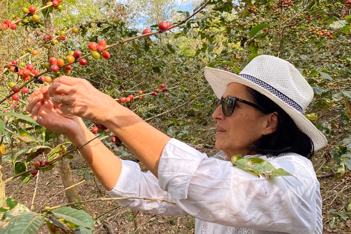 Una emprendedora revivió un cultivo de café abandonado en la selva, el primero argentino, y ya lo vende al público