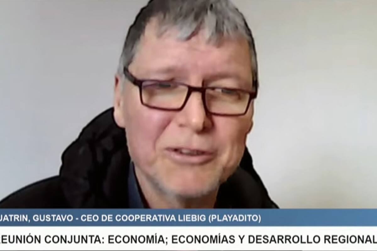 “La solución está en el mercado”: la yerbatera más grande de la Argentina defendió la desregulación que impulsó Milei