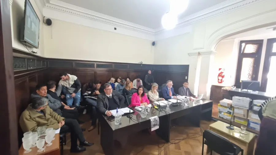 Narcojuicio: testigos citados por las defensas nunca supieron sobre drogas y un primo de Airaldi se despegó