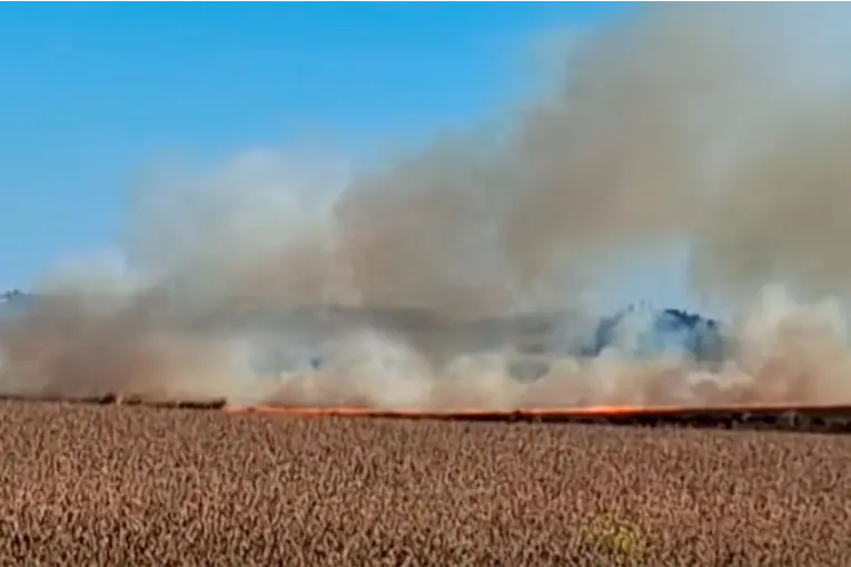 Se produjo un incendio entre Strobel y Aldea Protestante: trabajan varias dotaciones de bomberos