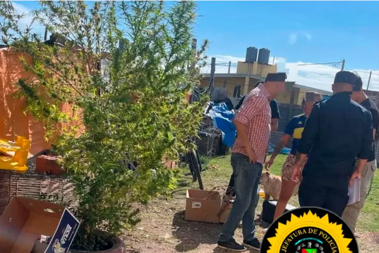 Buscaban elementos robados en allanamiento y hallaron casi tres kilos de marihuana