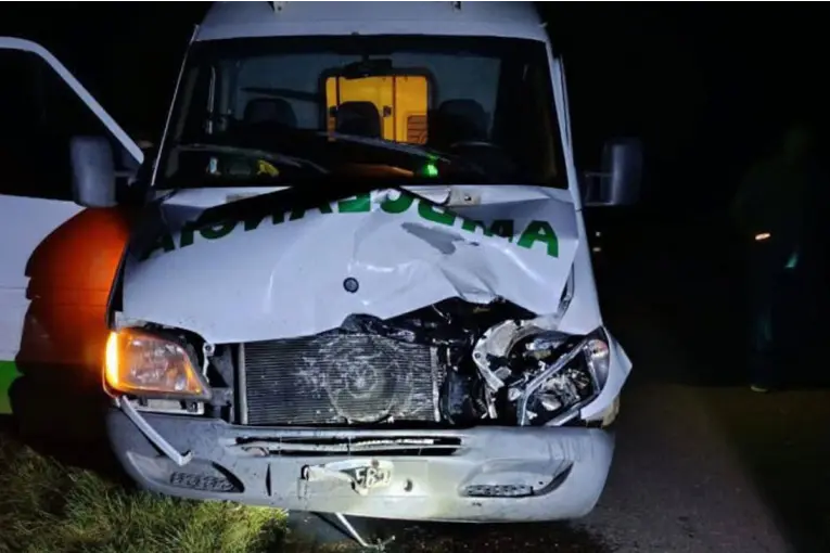 Una ambulancia chocó contra una vaca suelta mientras trasladaba una urgencia médica