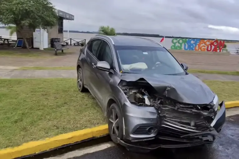 Adolescente intentó ahuyentar las abejas dentro de su auto y terminó chocando contra una palmera