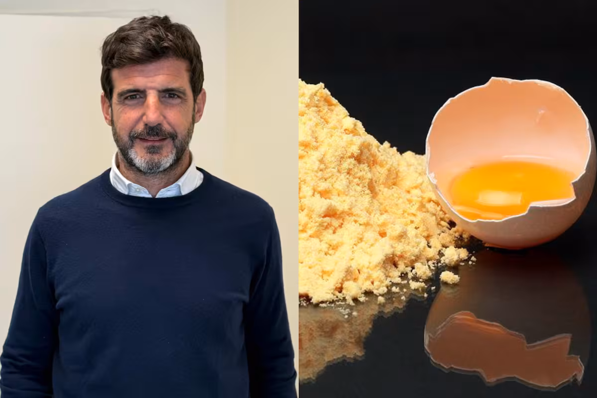 Quién es la empresa argentina que se quedó con toda la cuota de arancel cero para el huevo en la Unión Europea