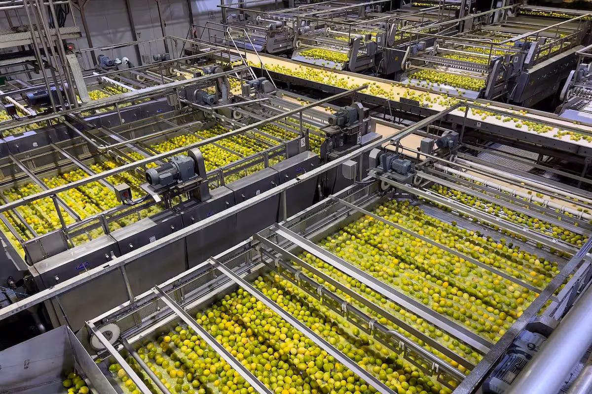Suministro de gas: preocupación de industrias del agro del norte por el abastecimiento en un momento crítico