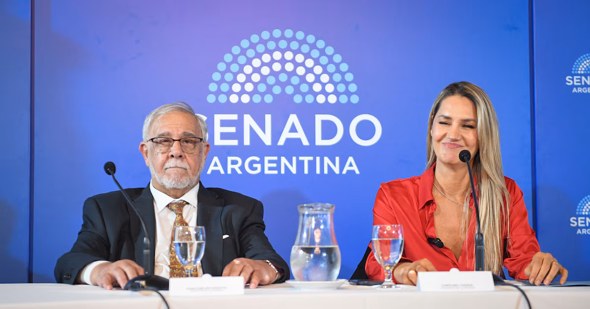 Senado: dudas por el ascenso de grado de un militar en una comisión que La Libertad Avanza confeccionó a gusto