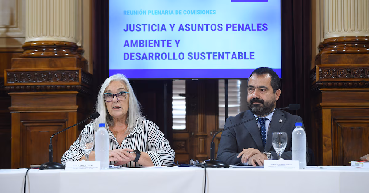 Polémica por un proyecto de “Ecocidio” en el Senado: LLA quiere retirar las firmas del dictamen