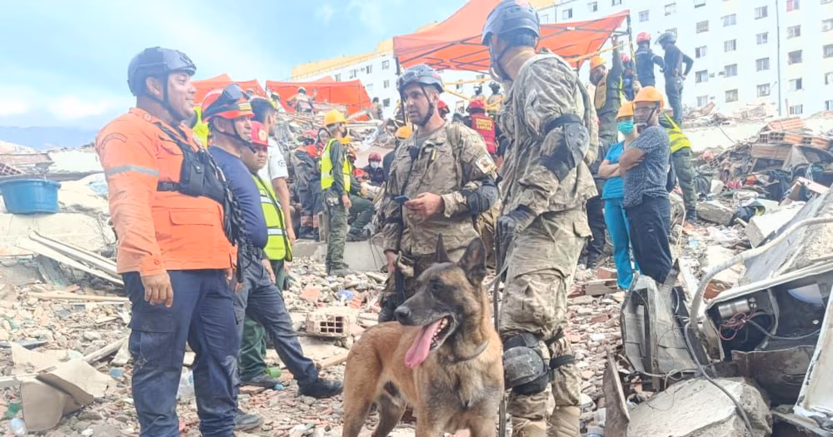 La misión humanitaria argentina en Venezuela rescató a dos menores entre los escombros con la ayuda de un can especializado