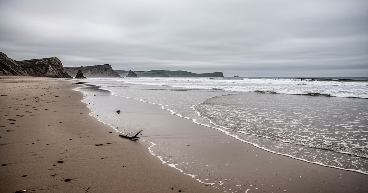 El avance de la bacteria Vibrio preocupa a Europa: playas cerradas y salud pública en riesgoTuristas y autoridades enfrentan una temporada estival marcada por el cierre de balnearios y riesgos sanitarios, debido al incremento de infecciones por Vibrio en el Mediterráneo, fenómeno atribuido al calentamiento global y la contaminación