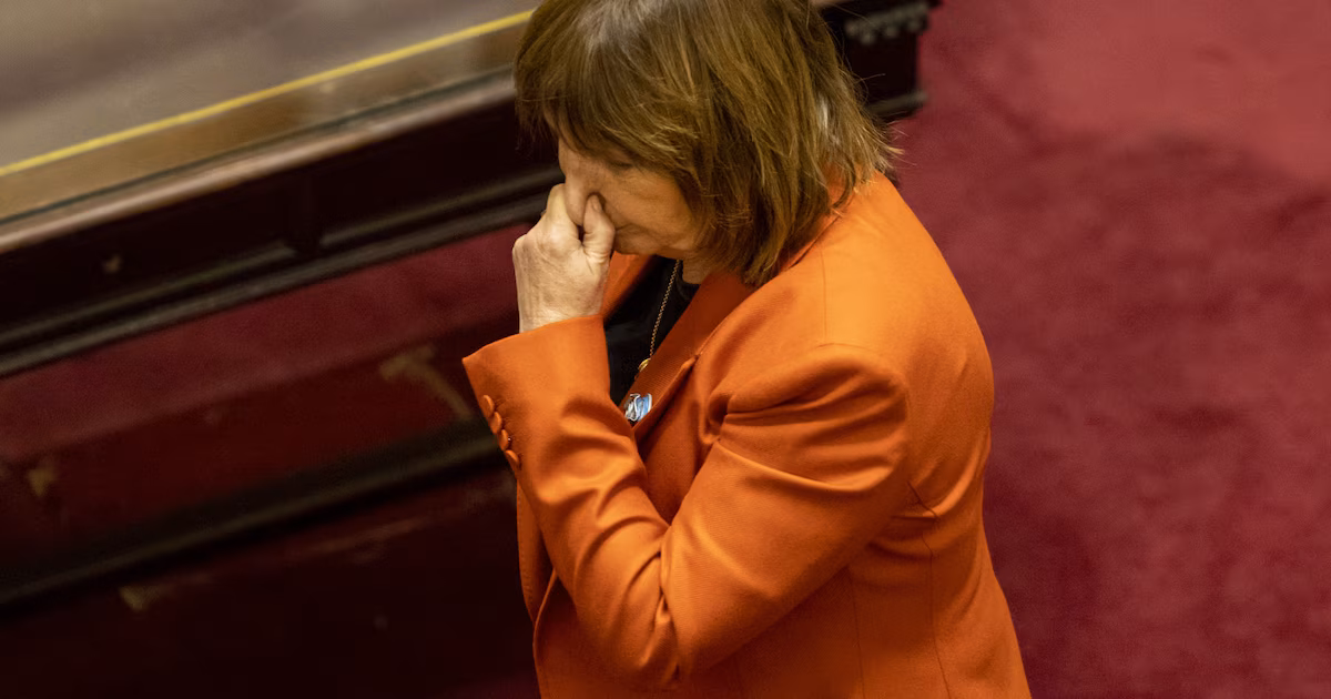 Los aliados presionan a Bullrich por Ficha Limpia en el Senado y se le suma otro problema sin resolución