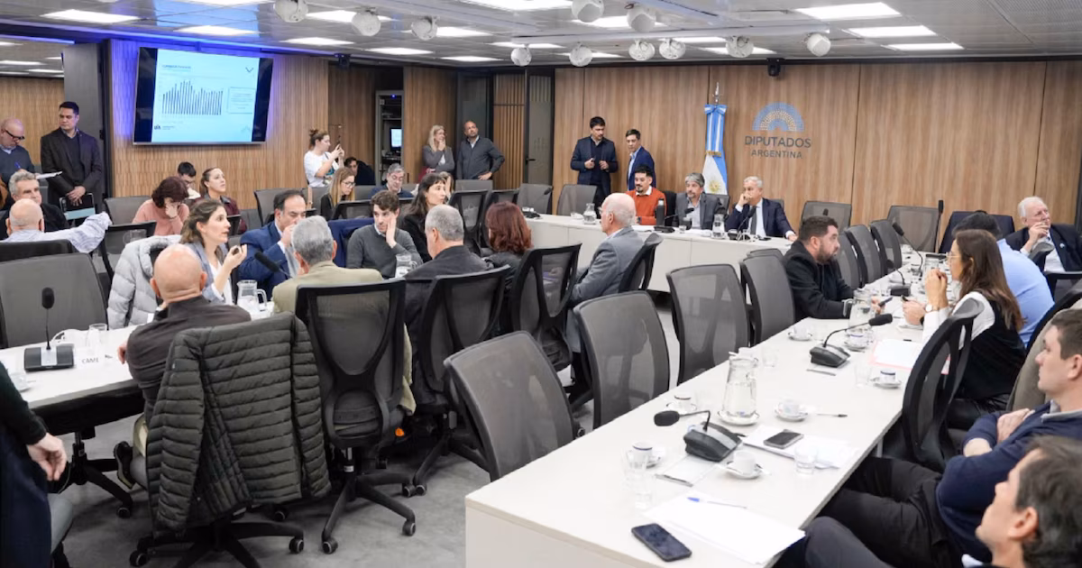 UIA y CAME alertaron sobre la pérdida de empleo y reclamaron incluir proveedores locales en el Super RIGI