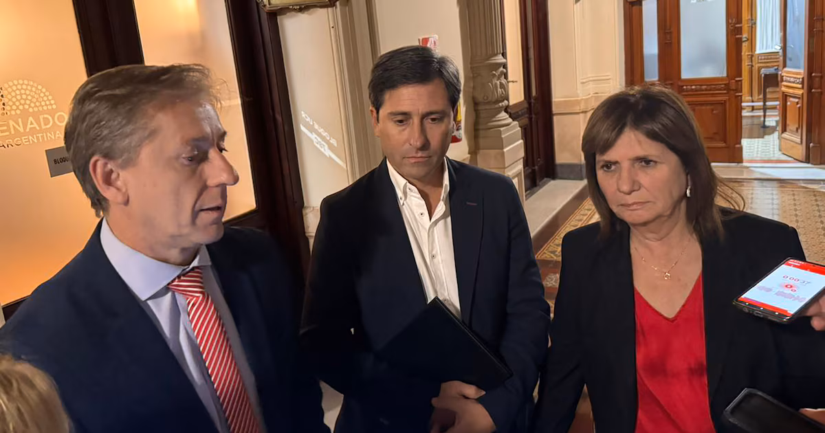El Gobierno prometió cambios para salvar la ley de propiedad privada en el Senado y quiere sesionar en una semana