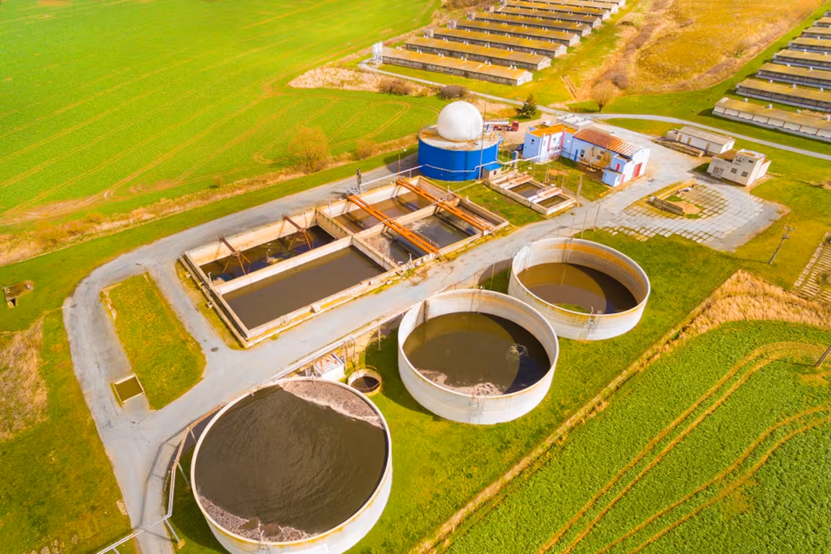 Empresas híbridas: los nuevos jugadores del agro que hacen una revolución silenciosa para transformar la economía argentina