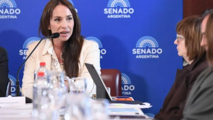 El oficialismo cedió y finalmente se aprobó el pliego de Verónica Michelli